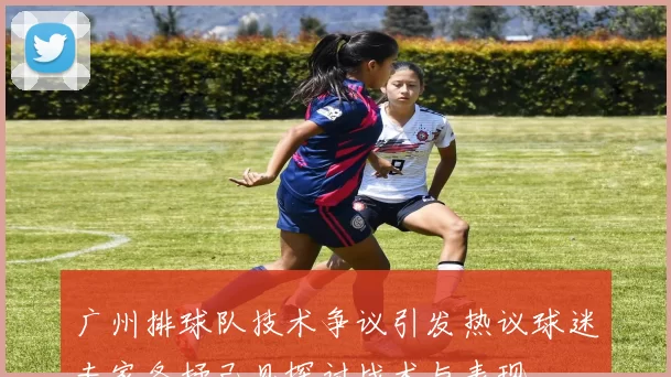 广州排球队技术争议引发热议球迷专家各抒己见探讨战术与表现